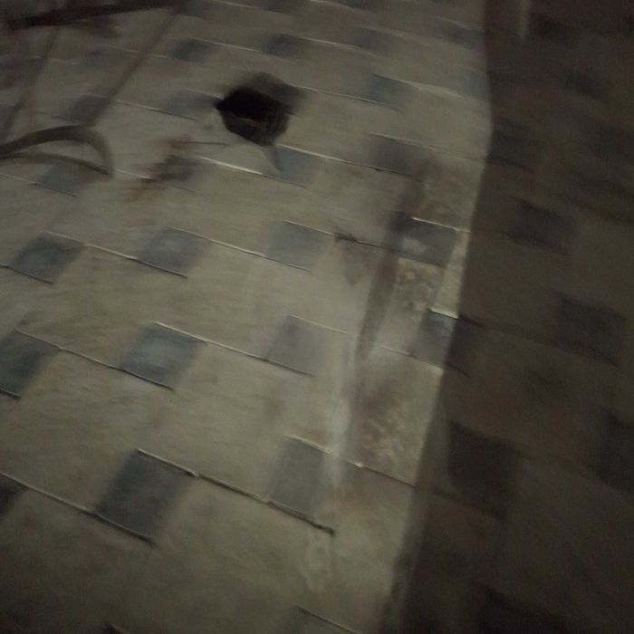 Отдам белого щенка в добрые руки.