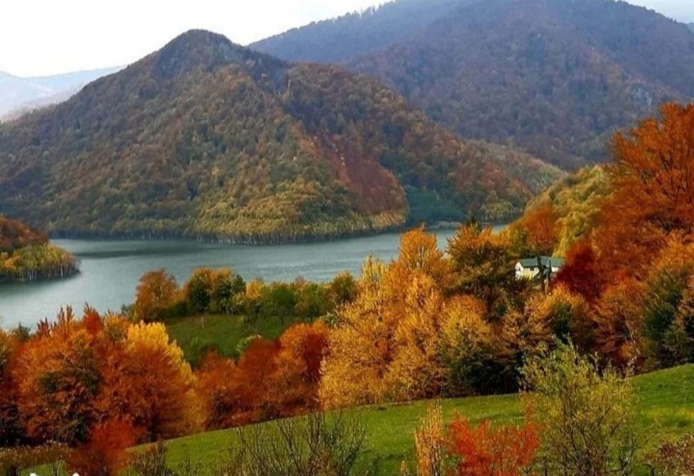 In fata ta e lacul, în jurul tău copacii și munții. Între ele poate fi cabana ta.Teren Vis a Vis de Lacul Siriu. Vedere la lac și munti Gura Siri