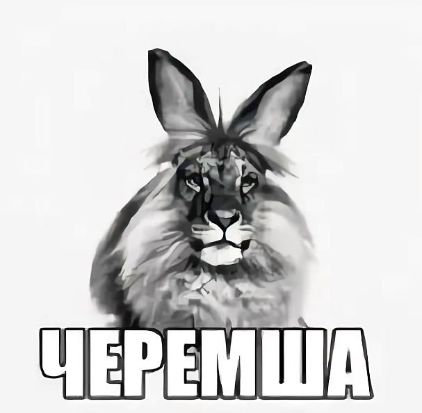 Продается черемша мягкая