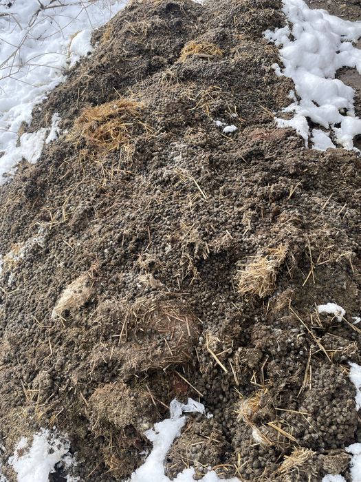 Quyon gòng куён гунг