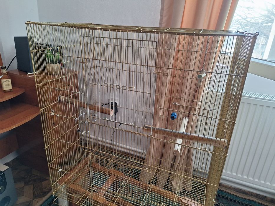 Cusca papagal 1.20m inaltime