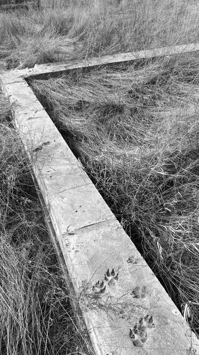 Земельный участок