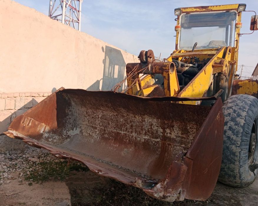 Paguruschik Palak Delta