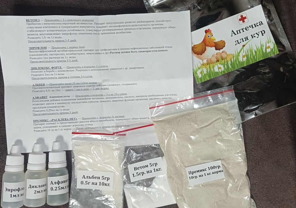 Инкубационное яйцо