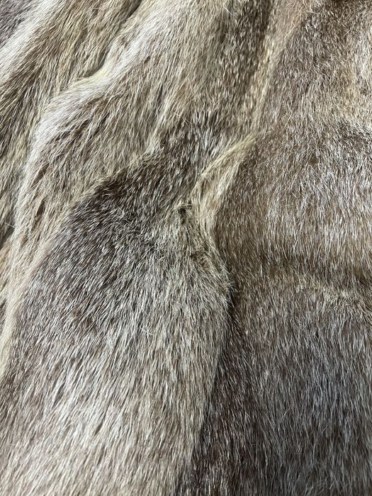 haina lunga blana naturala