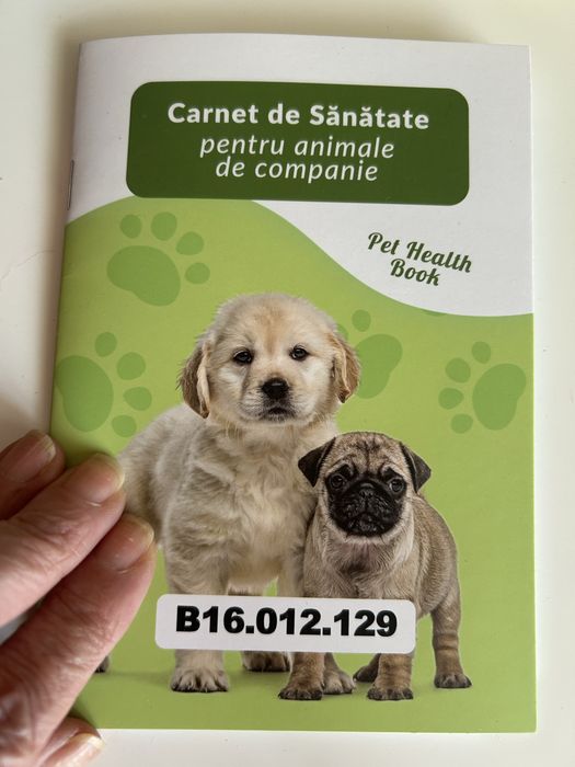 Donez catelusa metis pekinez