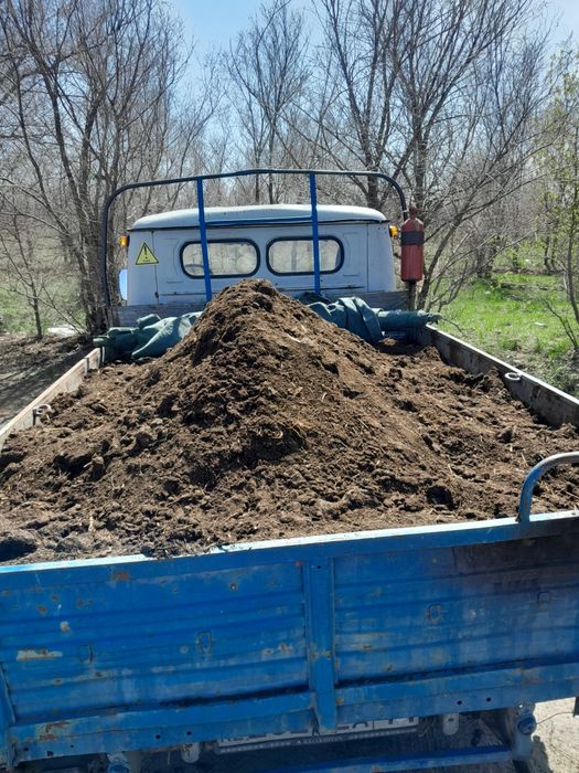 Дрова сосна ветла осина (перегной)