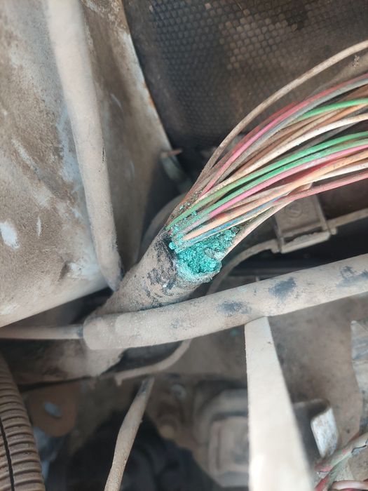 Автоэлектрик 12/24