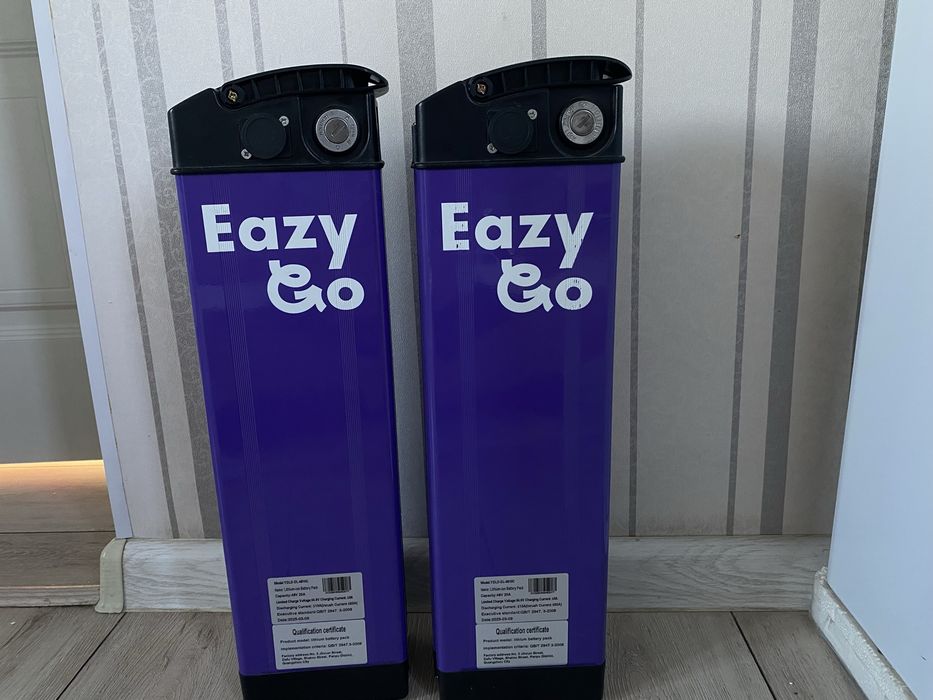 Электровелосипед Eazy Go