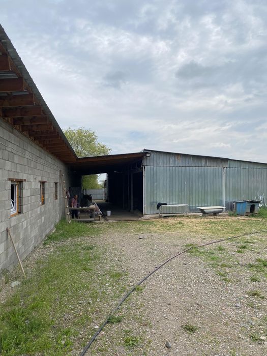 Продается фазенда