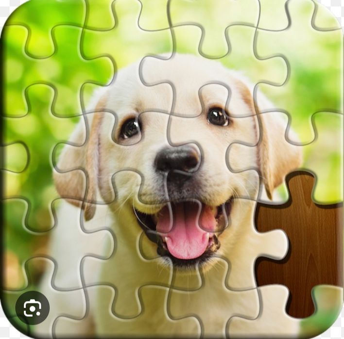 Jocul Puzzle câine