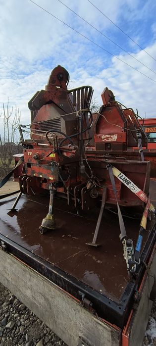 Troliu forestier 6 tone