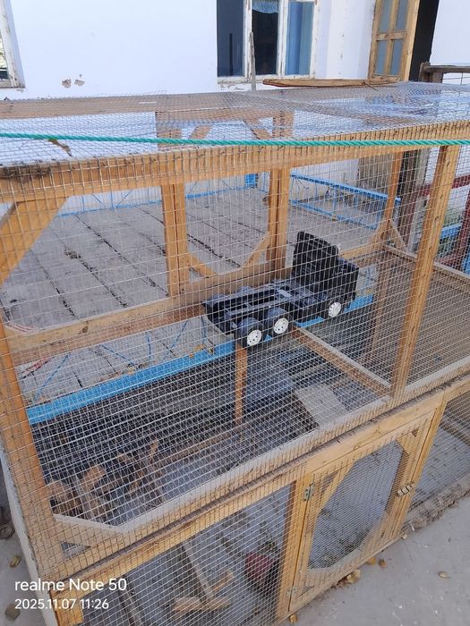 Сетки клетки для курицы. Тауик кетек