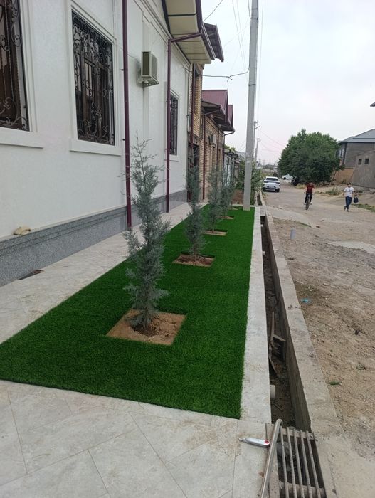 Газон посадка газон экамиз