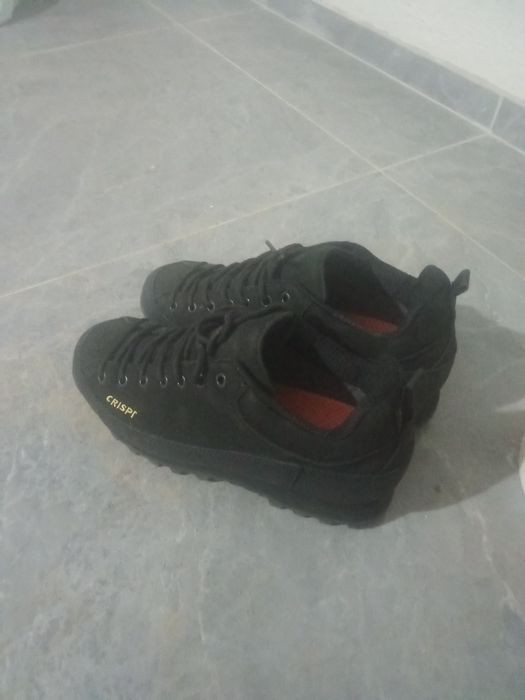 Красовка Криспи новый