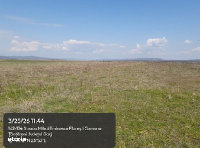 Teren extravilan- Jud. Gorj, Com. Tantareni, sat Floresti