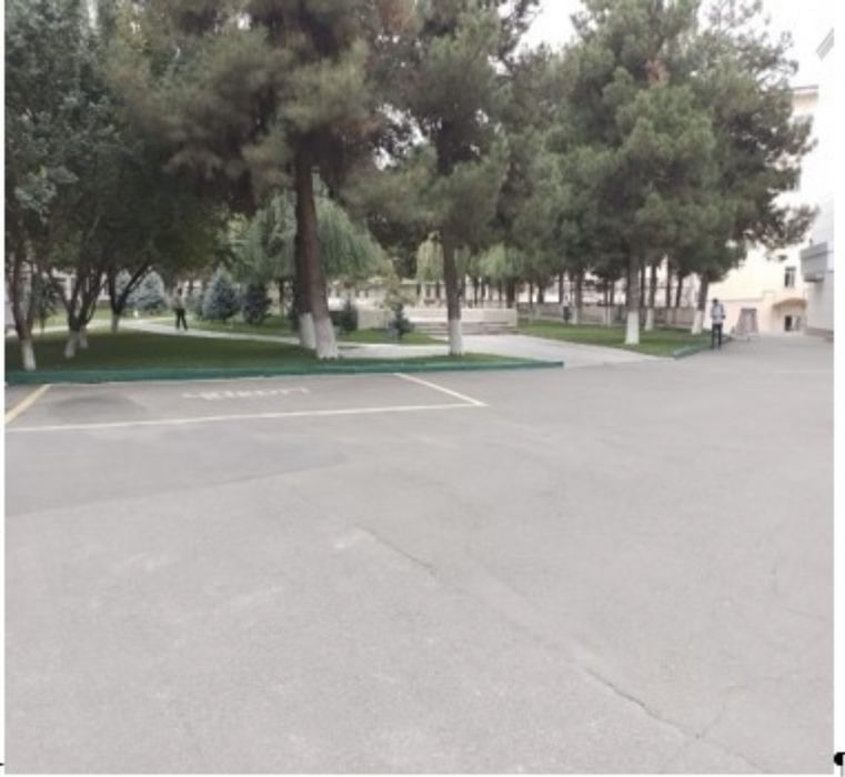 Narxozda Arendaga Joy beriladi Oziq ovqat Magazin uchun Narxozi Ichida