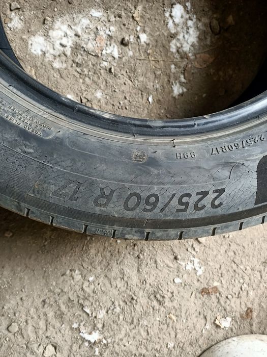 Продам баллоны летние