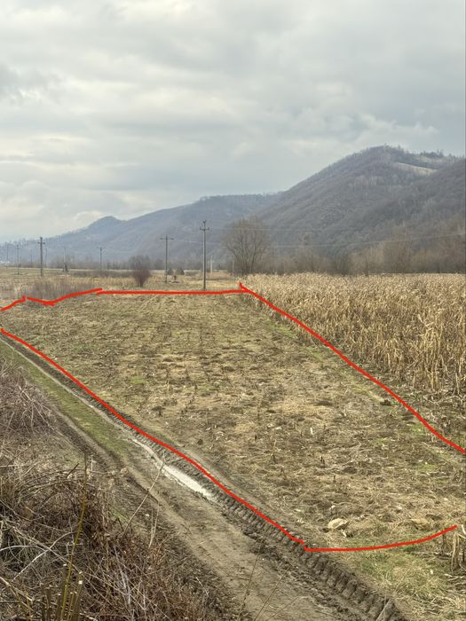 Teren de vanzare pe sesul Rebrisorii