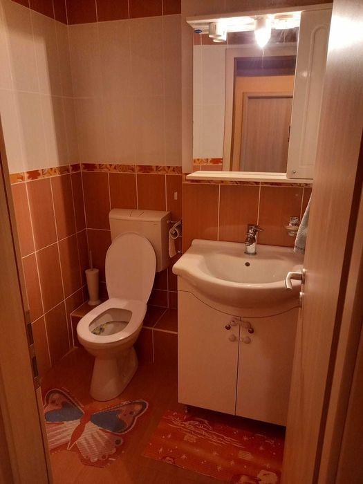 Proprietar inchiriez apartament 3 camere decomandat, langa Parcul Copiilor (Complexul Stundentesc).