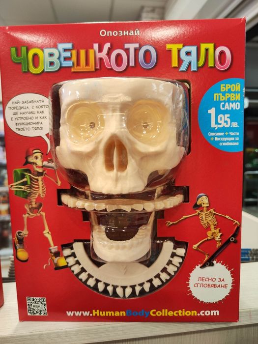 Човешкото тяло говори 2 брой. 1 брой опознай човешкото тяло