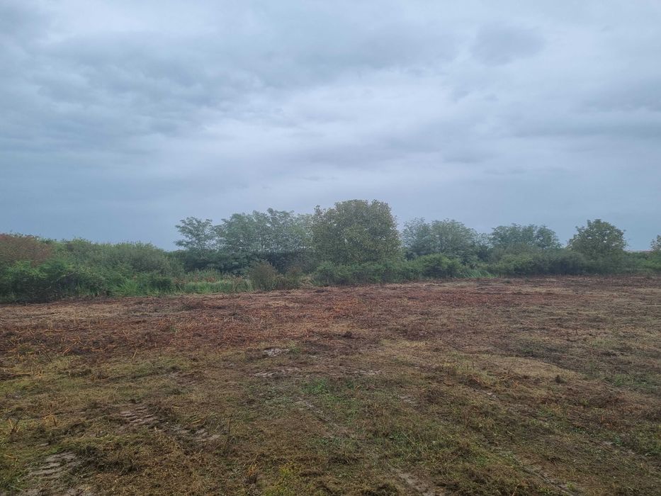 Curatare,defrisare teren, ploaia ajuta si la pret si la defrisare!