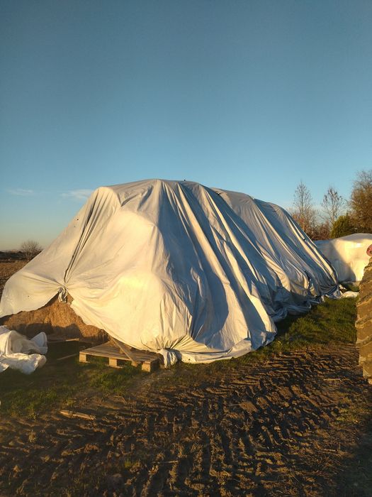 Бали ечемична ,житна слама и царевичак