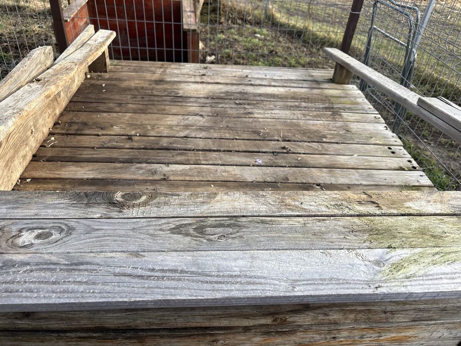 Cusca caini talie mare