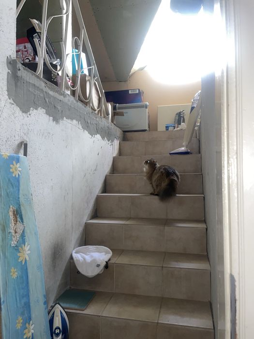 Дава се под наем Къща в Велико Търново, Колю Фичето - 400 кв.м за 1800 € - Снимка #17