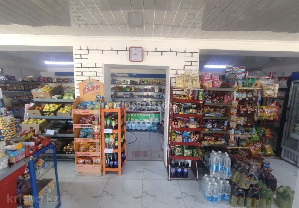 Срочно Продуктовый магазин сатылады