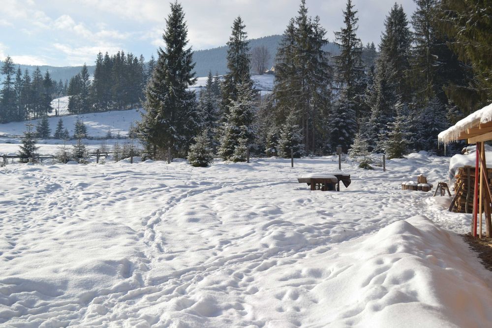 teren intravilan la Arieseni