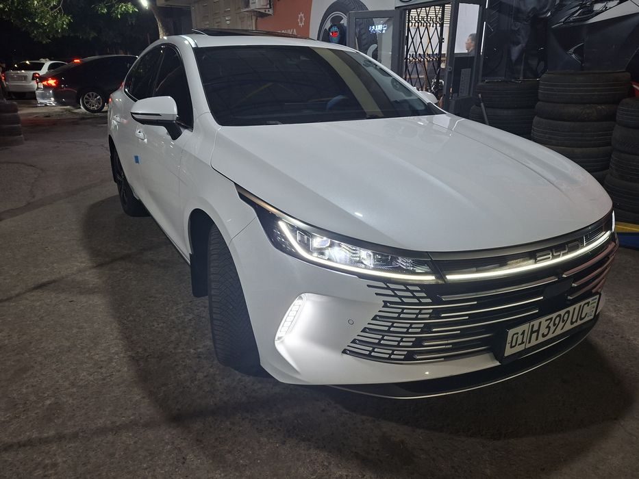 BYD chazor 4п фул 2024 год