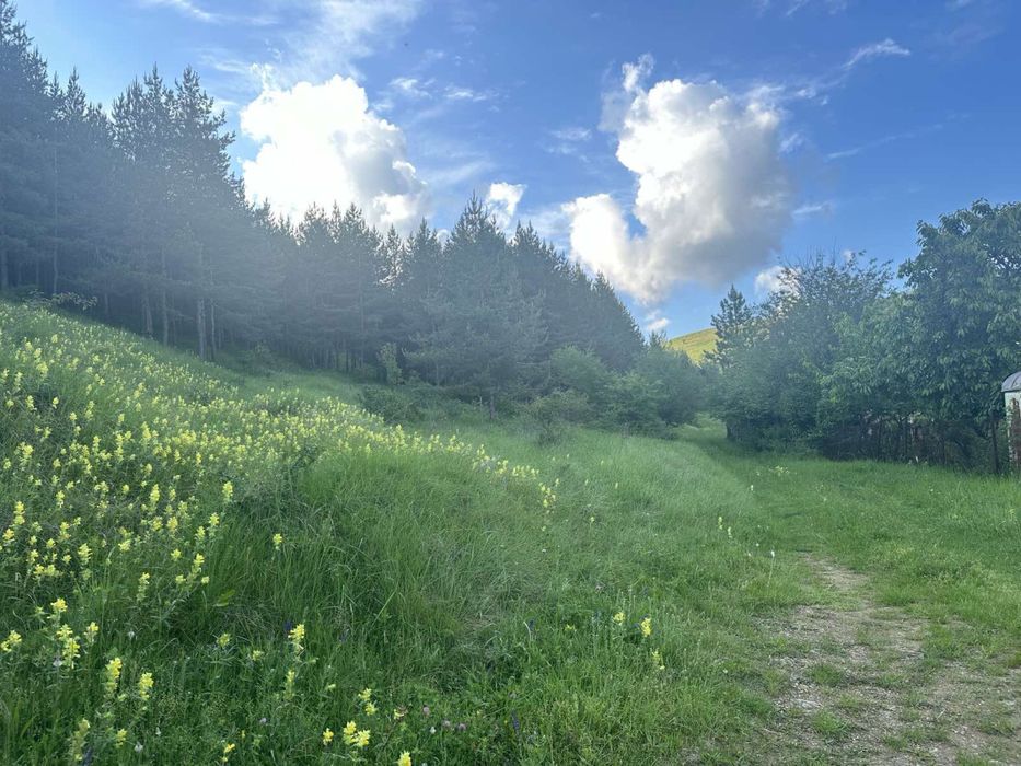 Продава се Парцел в с. Желява, Област София-град - 521 кв.м за 58 €/кв.м - Снимка #7