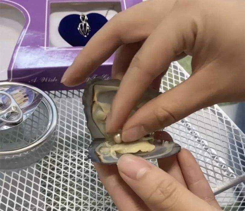 Дары моря цепочка