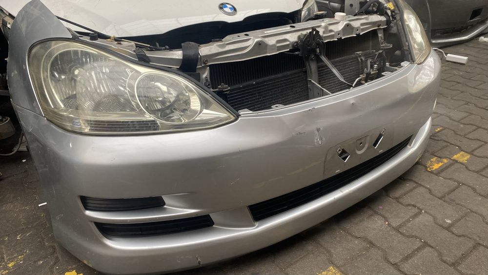 Ноускат Ипсум рестайлинг