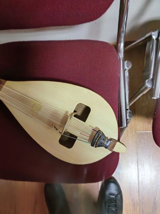 Гъдулка Каменовска