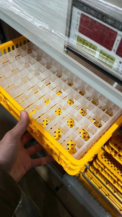 Инкубатор промышленный