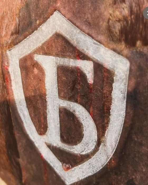 Танба Басу Клеймо 2000тг