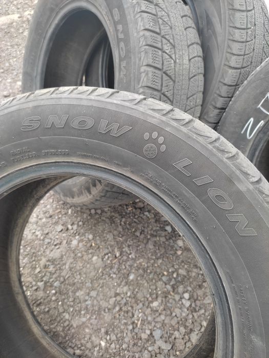 Резина TRIANGLE   snow lion