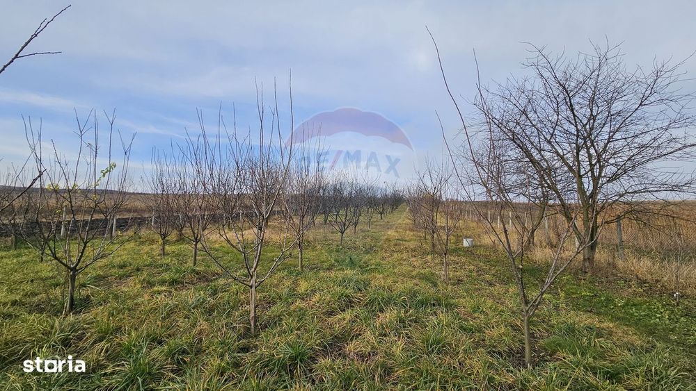 Teren extravilan 10,791mp Falticeni / Strada DJ209A, Opriseni