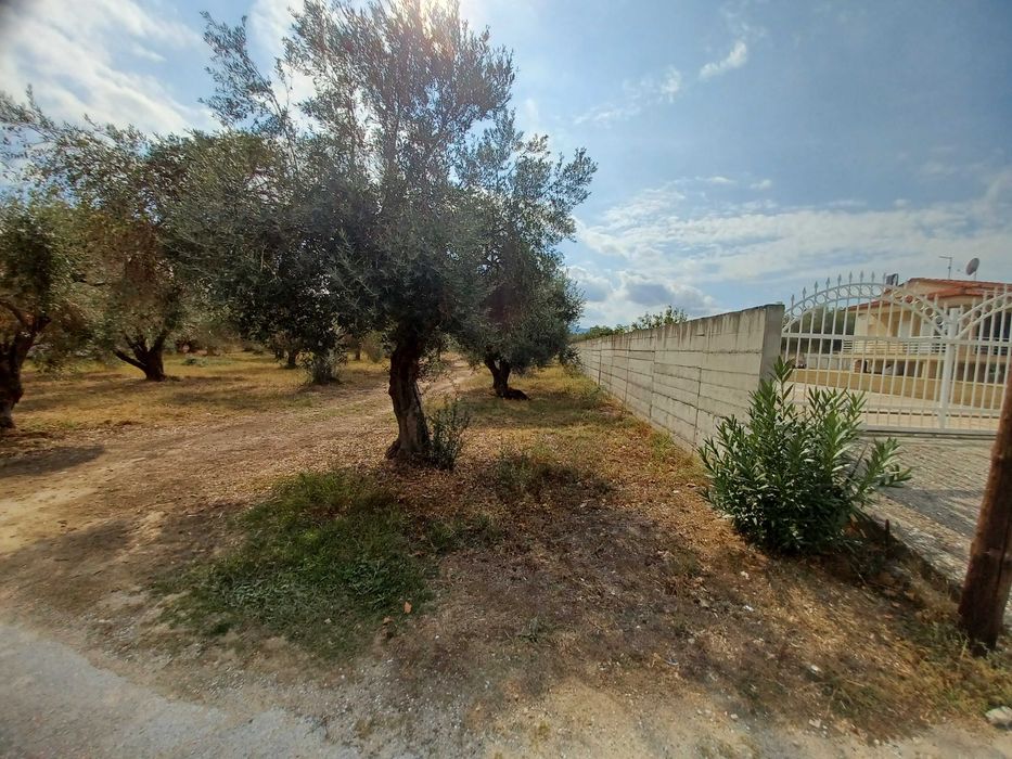 Продава 2 парцела с обща площ 1060 м2 в регулация в Неа Врасна, Гърция