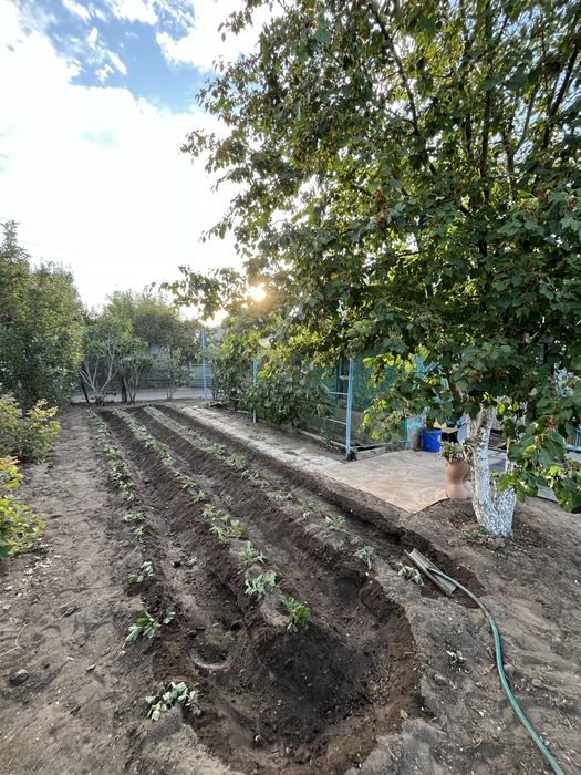 Продам дачу хорошую, медзавод