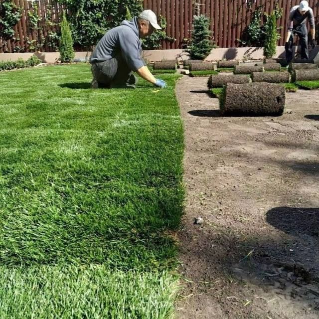 Газон ландшафтный дизайн поливная система