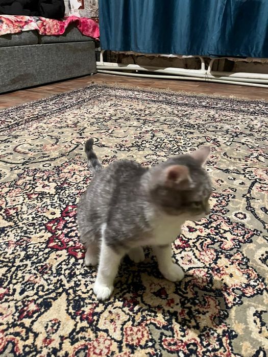 Каму  надо забирайте