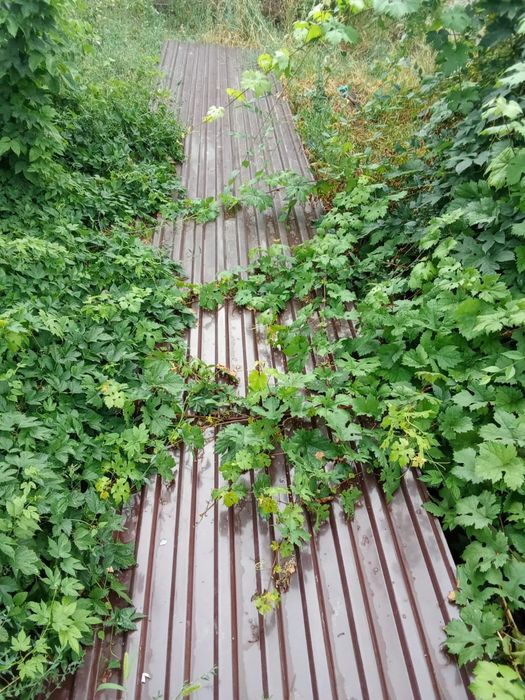 Продам ворота и все комплектующие для них