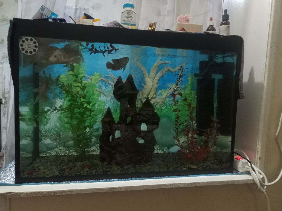 Продается аквариум