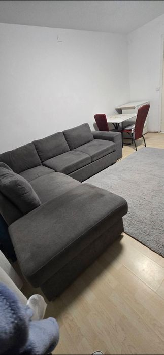 Garsoniera  - 220 euro  - Buziasului