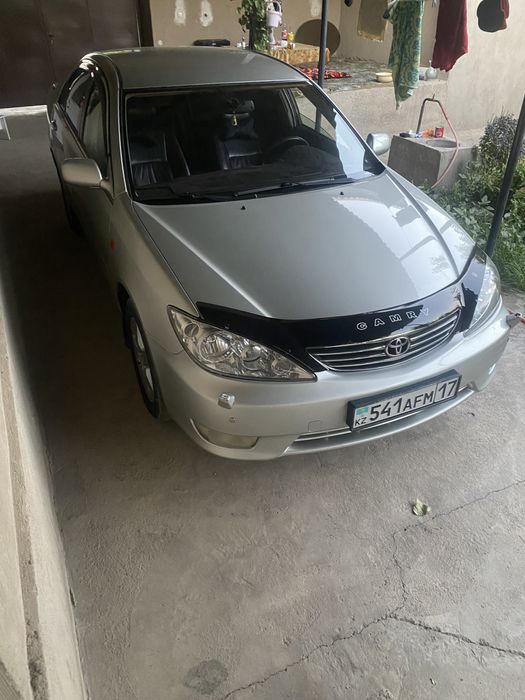 Продам европейку таету