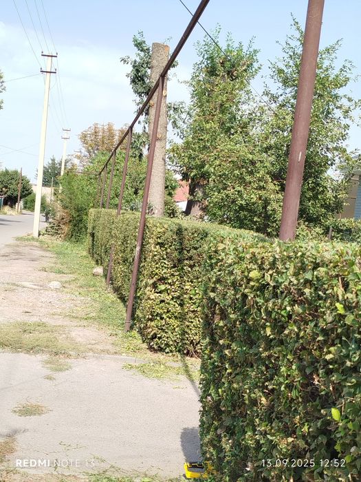 Садовник Каскелен обрезка деревьев