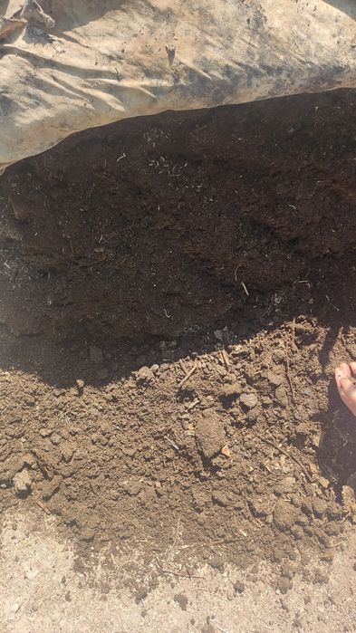 Биогонус сатылады